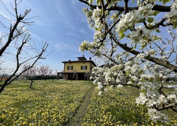 Villa Spilamberto - foto 14