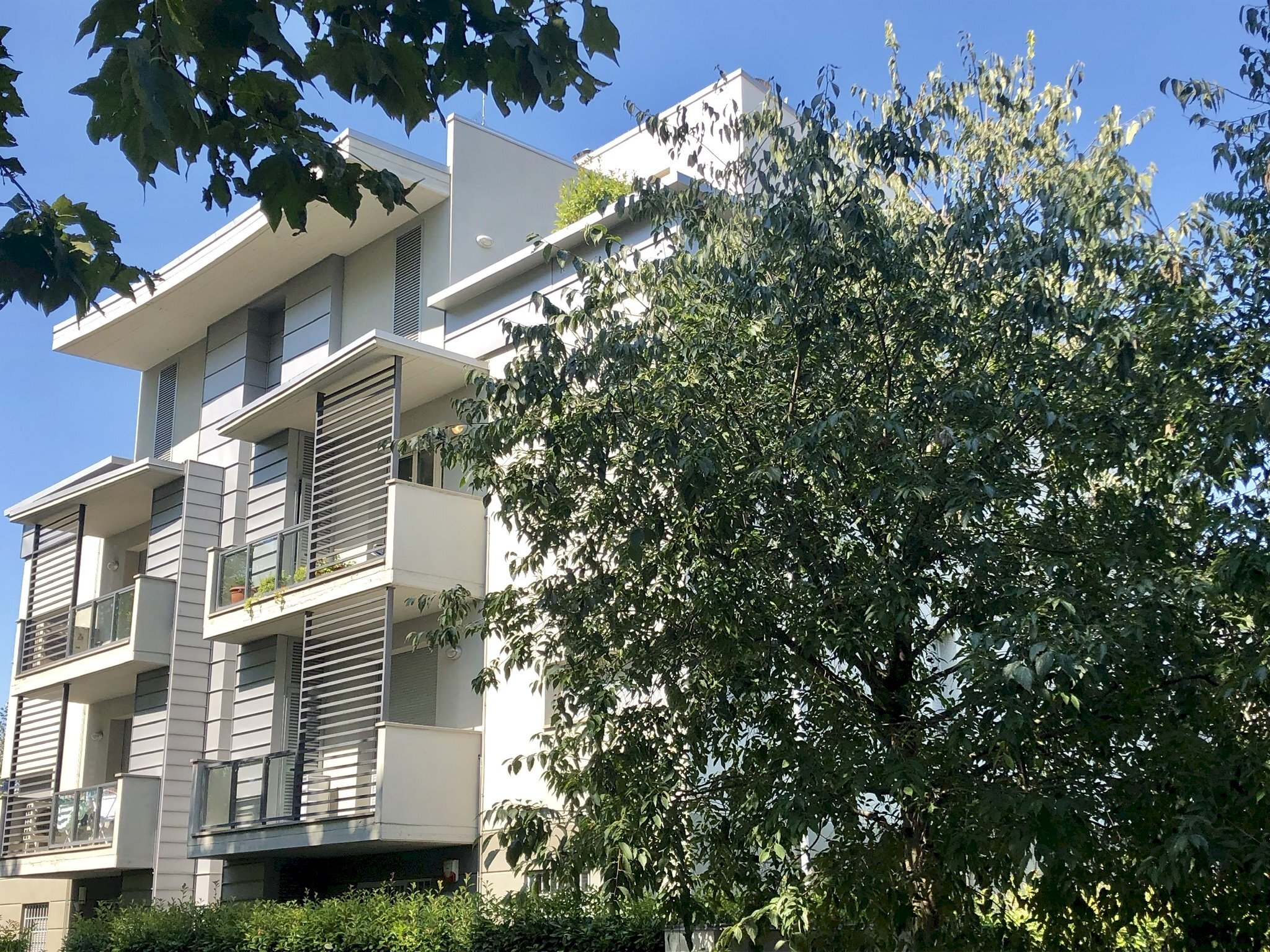 Attic Modena - photo 3