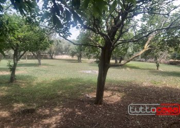 Capannone SP 40, Scicli - foto 6