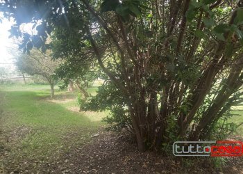 Capannone SP 40, Scicli - foto 7