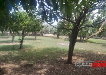 Capannone SP 40, Scicli - foto 8