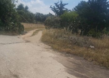 Capannone SP 40, Scicli - foto 10