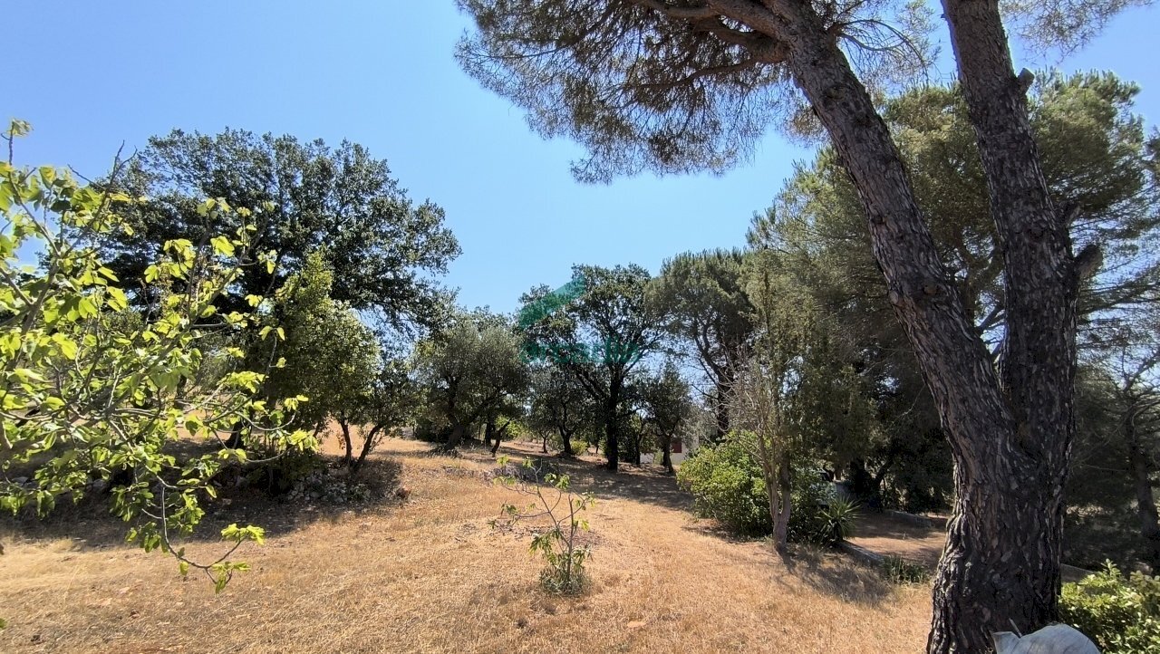 giardino - Villa Ctr. Ciminiera 62, Monopoli - foto 1