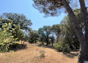 giardino - Villa Ctr. Ciminiera 62, Monopoli - foto 1