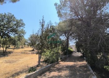 giardino - Villa Ctr. Ciminiera 62, Monopoli - foto 21