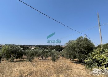 viste - Villa Ctr. Ciminiera 62, Monopoli - foto 23