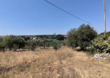 viste - Villa Ctr. Ciminiera 62, Monopoli - foto 24