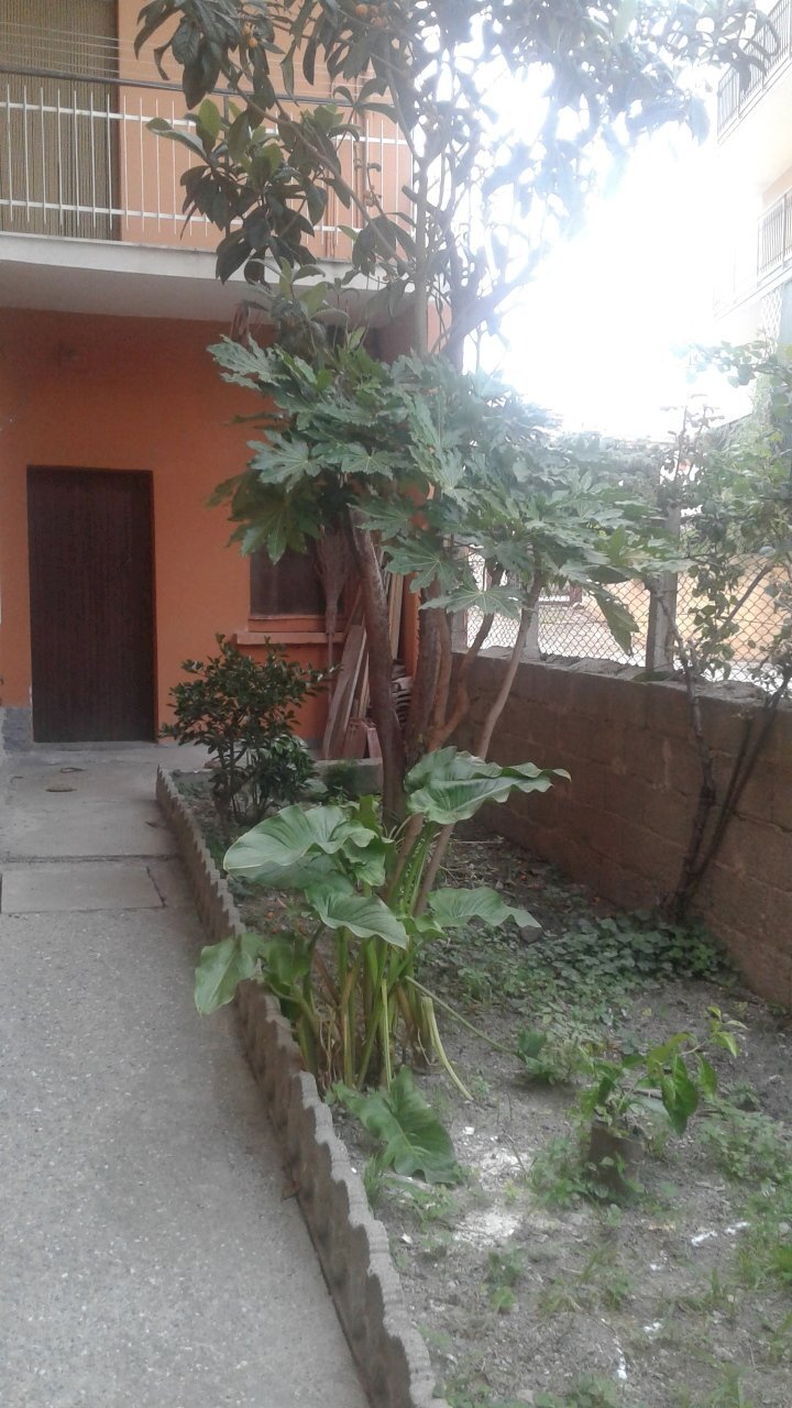 20180529_174734.jpg - Appartamento Viale Stazione, Gizzeria - foto 3