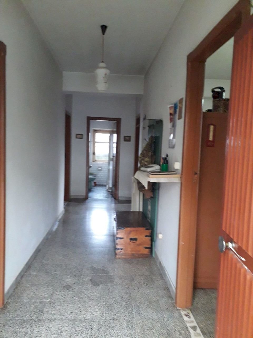 20181217_104917.jpg - Villa orsi, Decollatura - foto 3