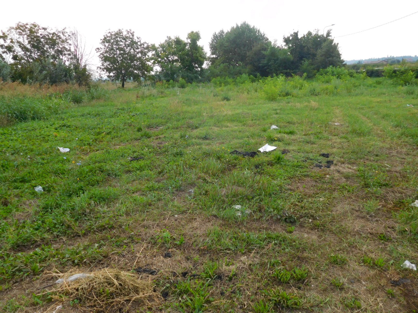 Terreno edificabile Castelnuovo Rangone - foto 2