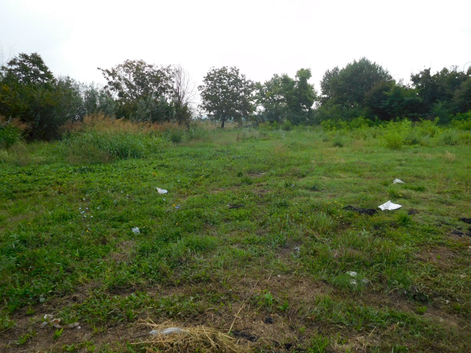 Terreno edificabile Castelnuovo Rangone - foto 3