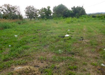 Terreno edificabile Castelnuovo Rangone - foto 2