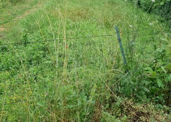 Terreno agricolo Contrada Spineta, Atripalda - foto 1