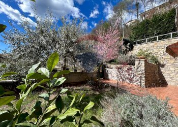 Villa Unifamiliare Costa Volpino - foto 4