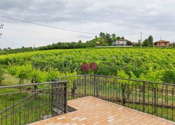 Terrazzo - Villa Diano d'Alba - foto 26