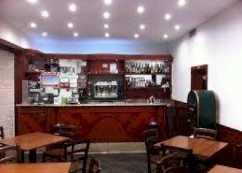 images (14).jpg - Bar Tavola Calda - Fredda Viale Europa, Lucca - foto 11