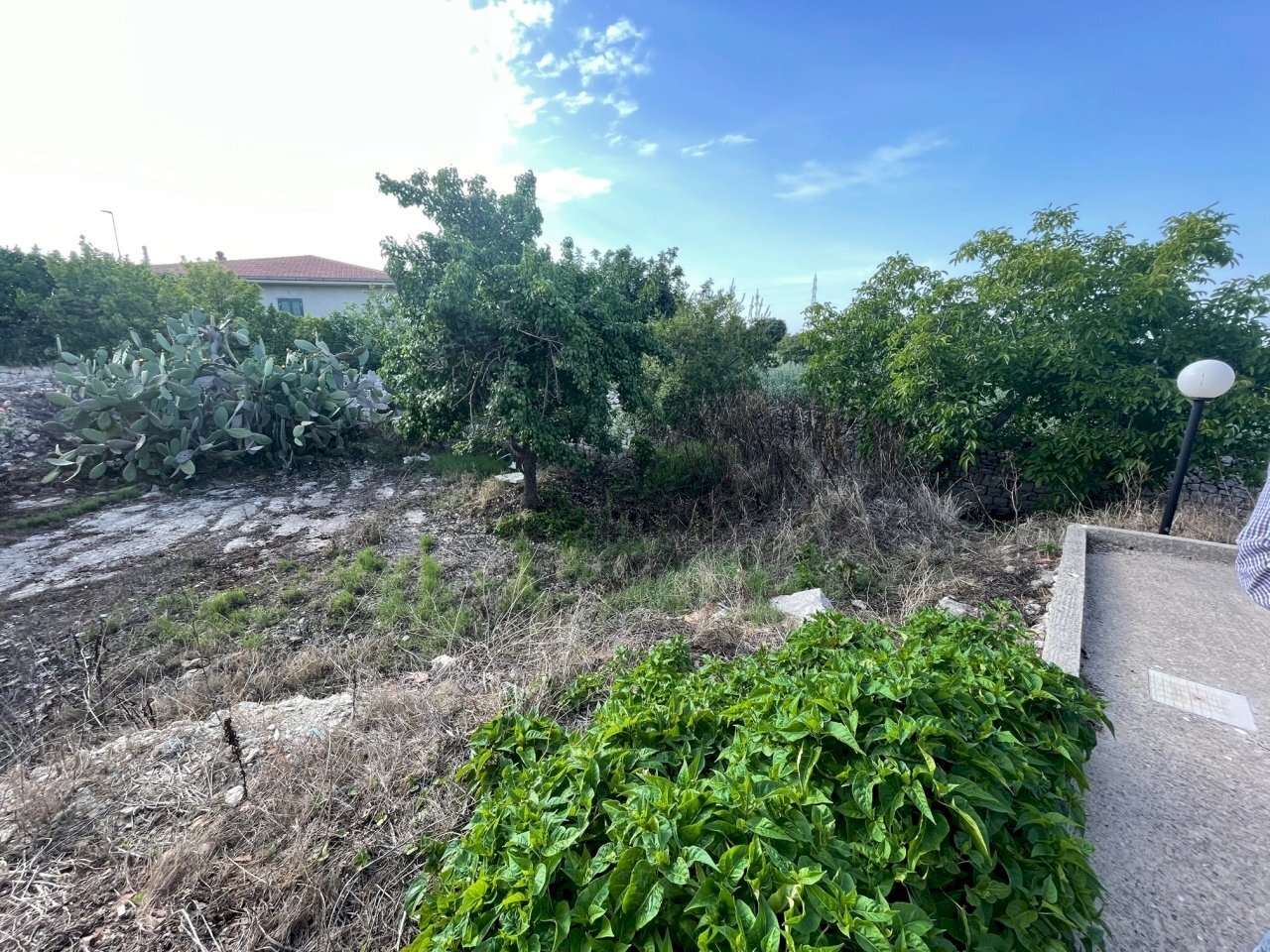 IMG_3862.jpg - Rustico Vanella 179, Modica - foto 3