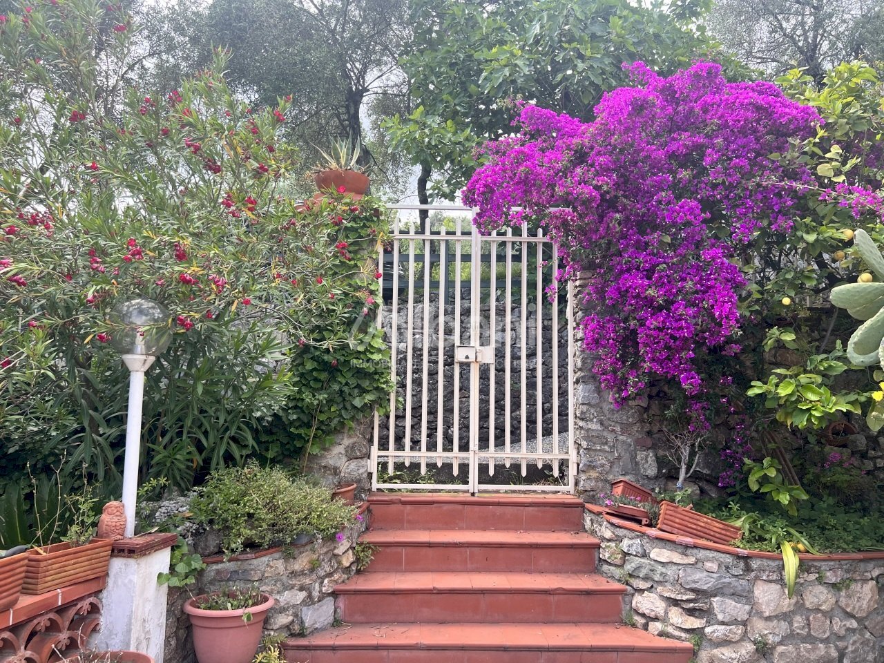 IN361_Villa_con_giardino_parcheggio_auto (2).jpeg - Independent house Lerici - photo 2