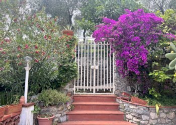 IN361_Villa_con_giardino_parcheggio_auto (2).jpeg - Independent house Lerici - photo 2