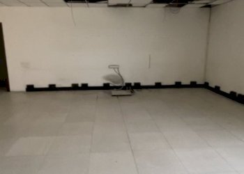 image00012.png - Capannone Via Walter Tobagi 11, San Cipriano Po - foto 10