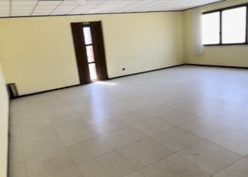 image00013.png - Capannone Via Walter Tobagi 11, San Cipriano Po - foto 11