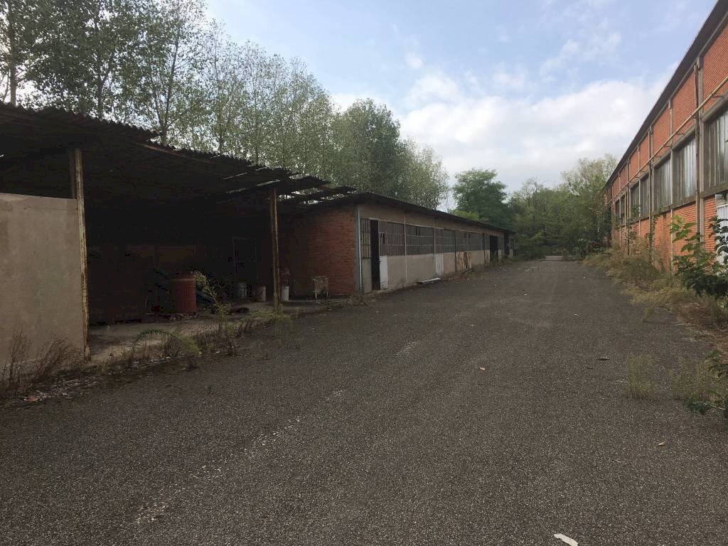 interno - Capannone viale Cremona, 330, Pavia - foto 3