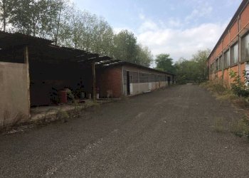 interno - Shed viale Cremona, 330, Pavia - photo 3