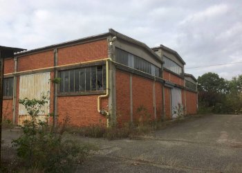 esterno - Shed viale Cremona, 330, Pavia - photo 4