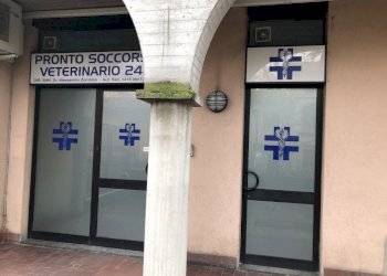 IMG-3497.jpg - Commercial Premises via defendente 29, Lodi - photo 20