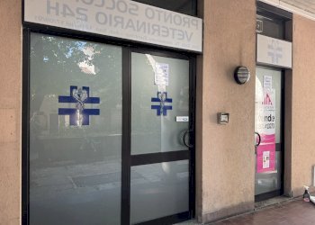 IMG_7284.jpg - Commercial Premises via defendente 29, Lodi - photo 1