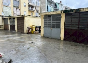 Box Venaria Reale - foto 4