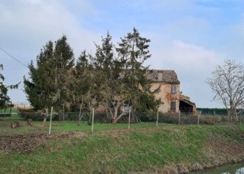 Rustico Ferrara - foto 5