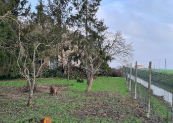 Rustico Ferrara - foto 6