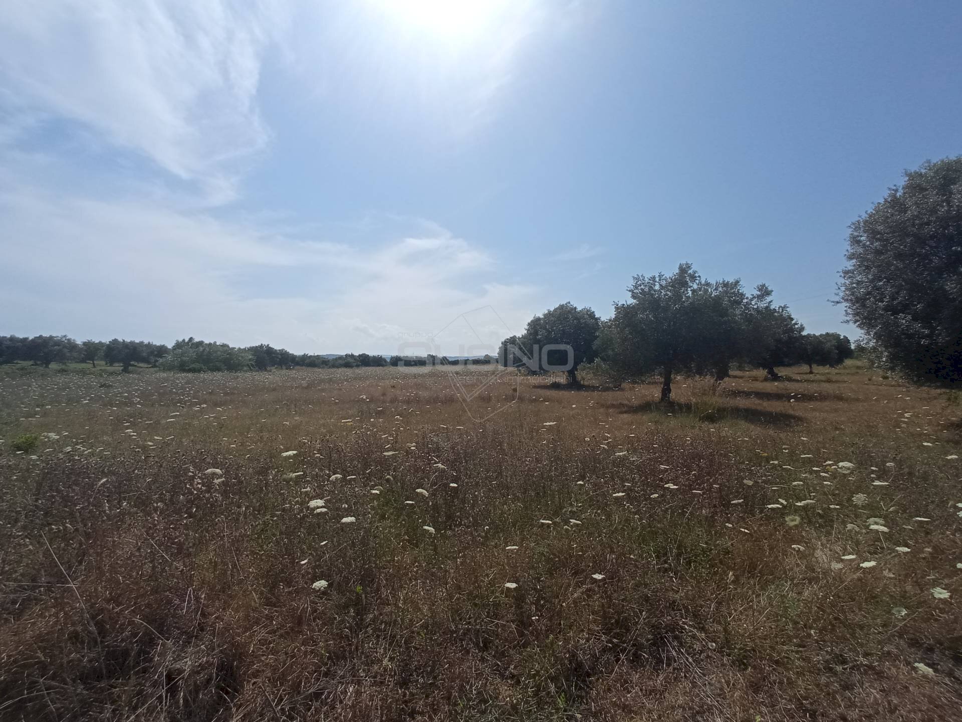 Terreno agricolo STRADA BENALI, Siracusa - foto 1