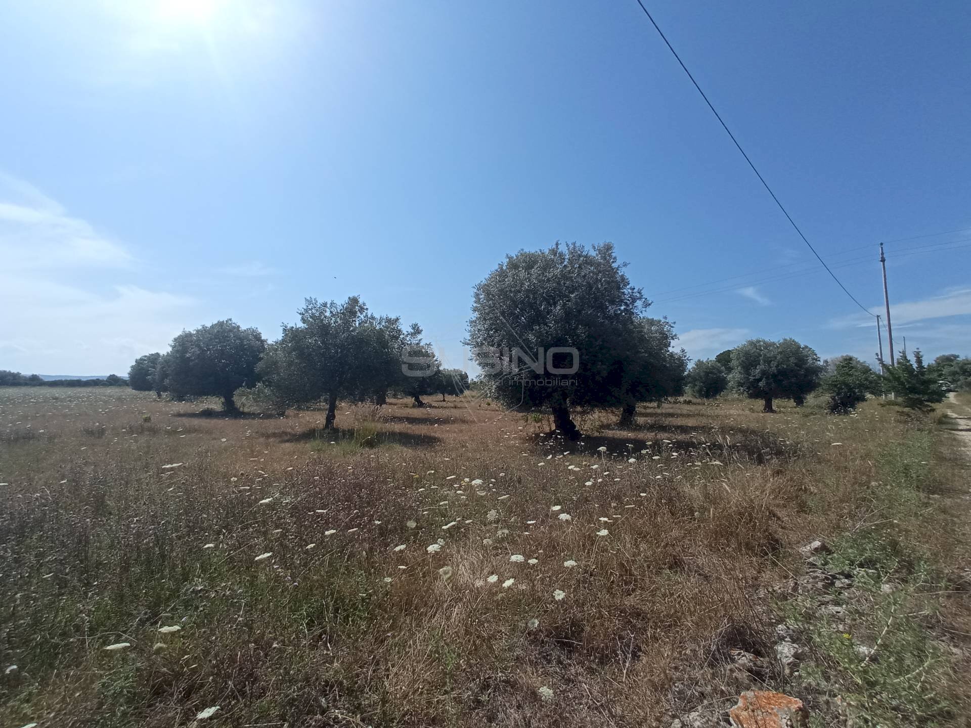 Terreno agricolo STRADA BENALI, Siracusa - foto 2