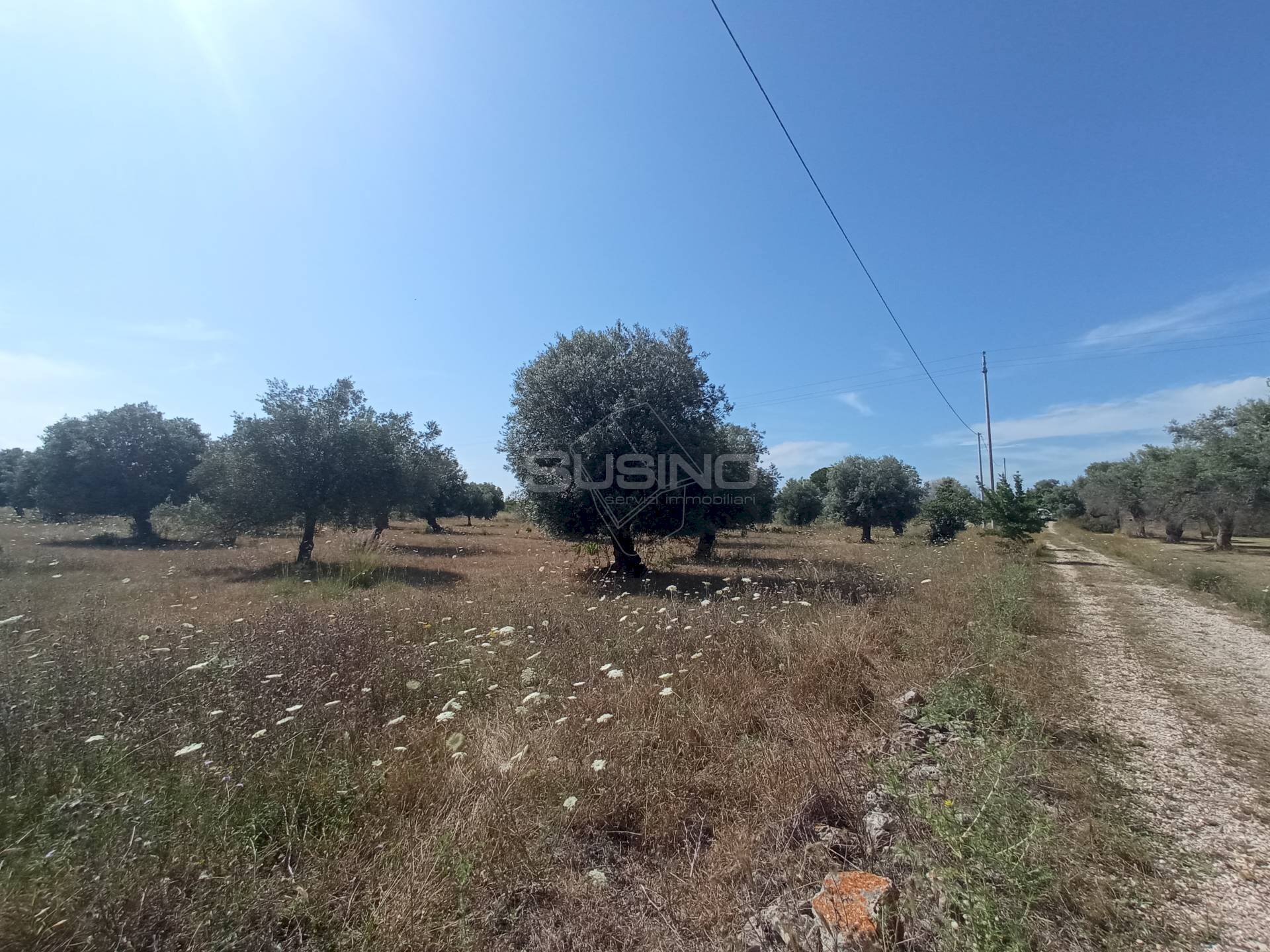 Terreno agricolo STRADA BENALI, Siracusa - foto 3