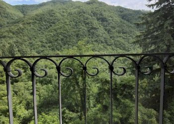 IMG-20230616-WA0056.jpg - Casale Licciana Nardi - photo 26