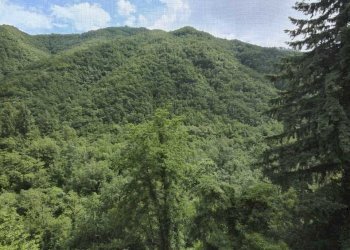 IMG-20230616-WA0001.jpg - Casale Licciana Nardi - photo 27