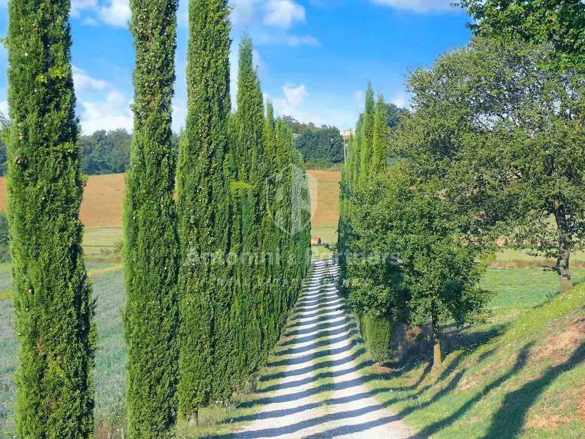 Villa-Ada-Lago-Trasimeno-(21).jpg - Villa Castiglione del Lago - photo 3