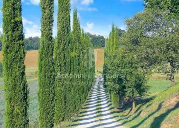 Villa-Ada-Lago-Trasimeno-(21).jpg - Villa Castiglione del Lago - foto 3