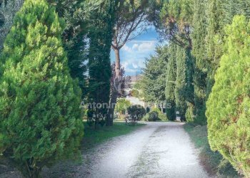 Villa-Ada-Lago-Trasimeno-(19).jpg - Villa Castiglione del Lago - foto 7