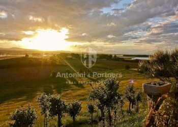 Villa-Ada-Lago-Trasimeno-(7).jpg - Villa Castiglione del Lago - foto 10