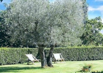 Villa-Ada-Lago-Trasimeno-(22).jpg - Villa Castiglione del Lago - foto 21