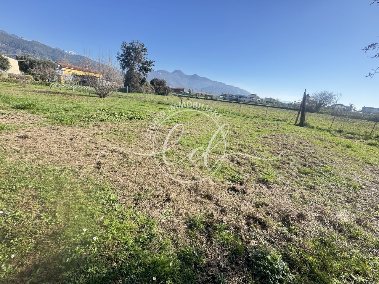 IMG_2899.JPG - Agricultural land Pietrasanta - photo 3