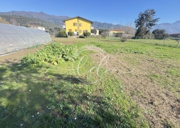 IMG_2898.JPG - Terreno agricolo Pietrasanta - foto 2