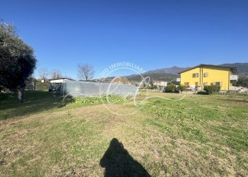 IMG_2900.JPG - Terreno agricolo Pietrasanta - foto 4