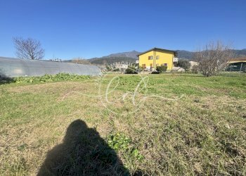 IMG_2903.JPG - Terreno agricolo Pietrasanta - foto 7