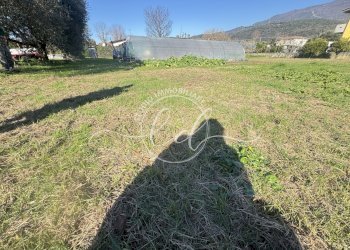 IMG_2904.JPG - Terreno agricolo Pietrasanta - foto 8