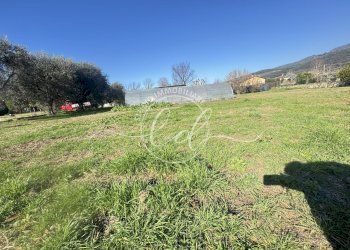 IMG_2906.JPG - Terreno agricolo Pietrasanta - foto 10