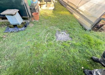 IMG_2909.JPG - Terreno agricolo Pietrasanta - foto 13